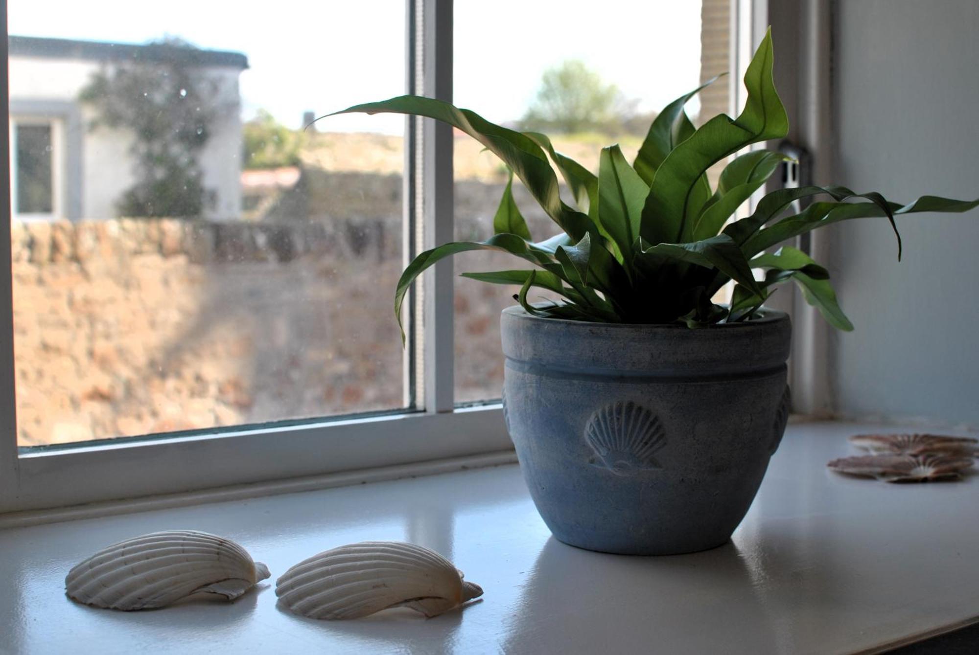 Coorie Cottage- Stylish Townhouse Holiday home Anstruther
